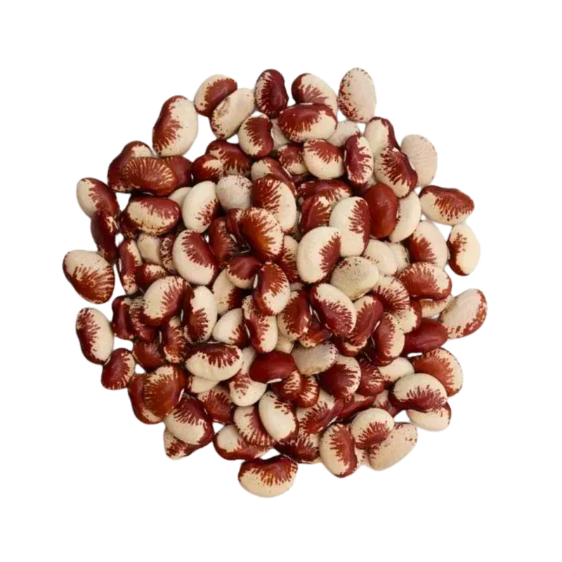 Fava Raio de Sol 1kg