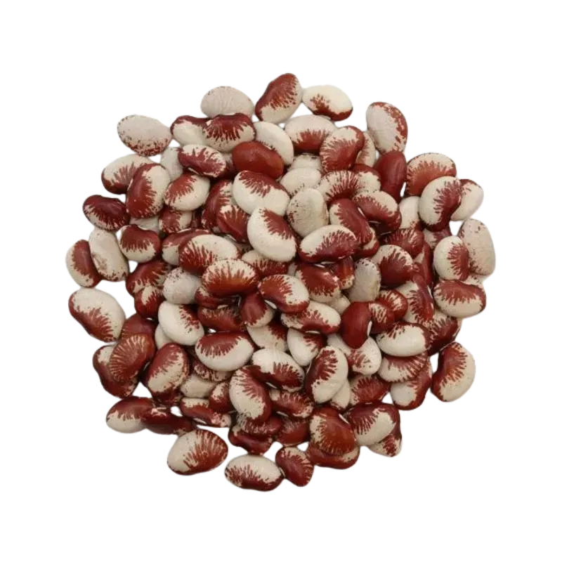 Fava Raio da Lua 1kg